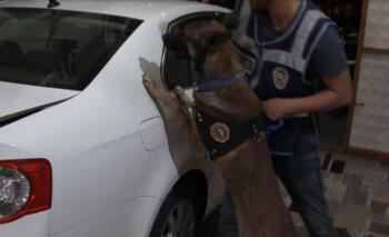 UYUŞTURUCUYA GEÇİT YOK