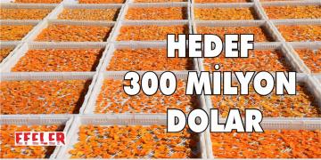 Kuru kayısı ihracatında yüzde 7’lik artış