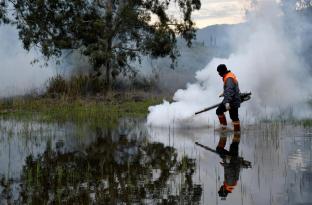 KUŞADASI’NDA MÜCADELE ÇİFT KOLDAN