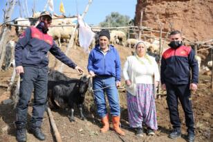 ‘KEÇİNİN İNADINI AYDIN İTFAİYESİ’NİN İNADI YENDİ’
