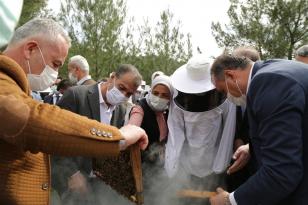 Seferihisar’da Arıcılık Harekatı