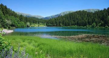 Hayat çizgimiz: “Orman ve Su”