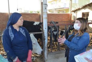 SÜT ÜRETİCİSİ DERTLİ: “BİR TORBA YEM GEÇEN YIL 80 TL, BU YIL 130 TL”