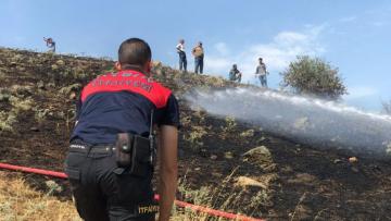 Çakırbeyli’de zeytinlik alanda yangın