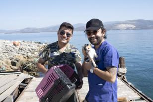 ISSIZ ADAYA BIRAKILAN YAVRU KEDİLERİ DİDİM BELEDİYESİ KURTARDI