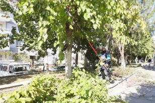 EFELER YEŞİL EKİPLERLE GÜZELLEŞİYOR