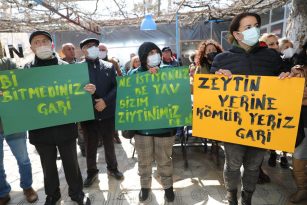 BAŞKAN ATABAY: “ZEYTİN AĞAÇLARI BİZİM TOPRAKLARIMIZIN HAZİNELERİDİR”