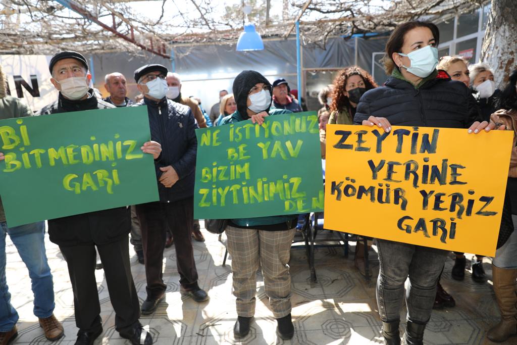 BAŞKAN ATABAY: “ZEYTİN AĞAÇLARI BİZİM TOPRAKLARIMIZIN HAZİNELERİDİR”