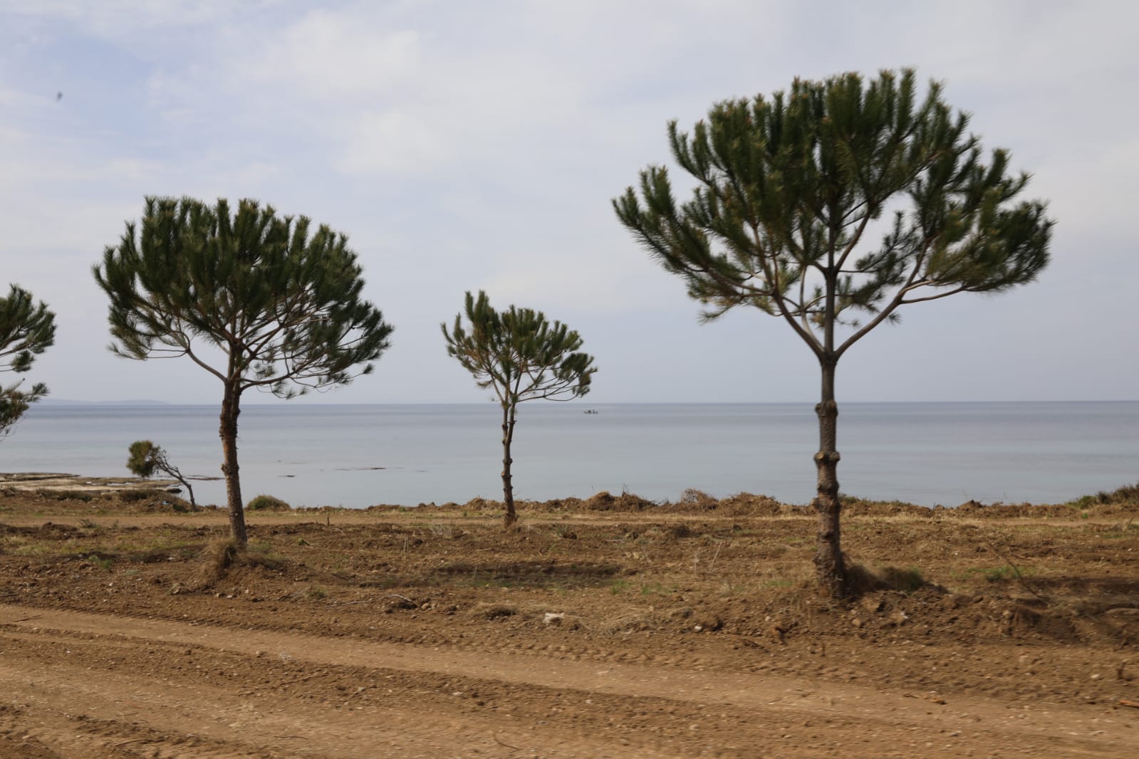 DİDİM BELEDİYESİ ORMAN YANGINLARINA KARŞI ÇALIŞMALARINI SÜRDÜRÜYOR