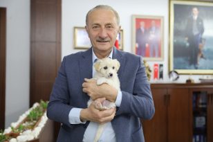 DİDİM’DE CAN DOSTLAR EMİN ELLERDE