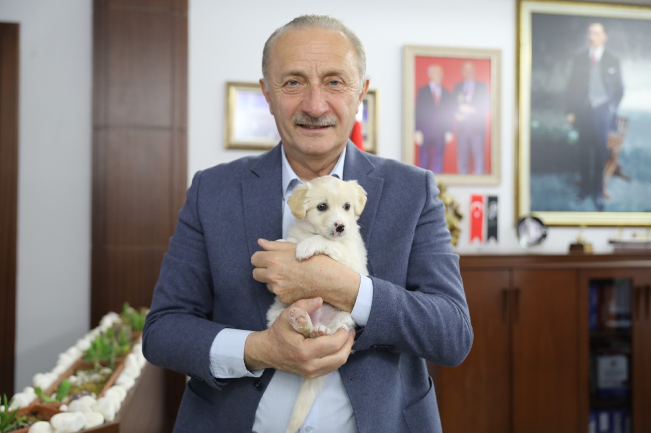 DİDİM’DE CAN DOSTLAR EMİN ELLERDE