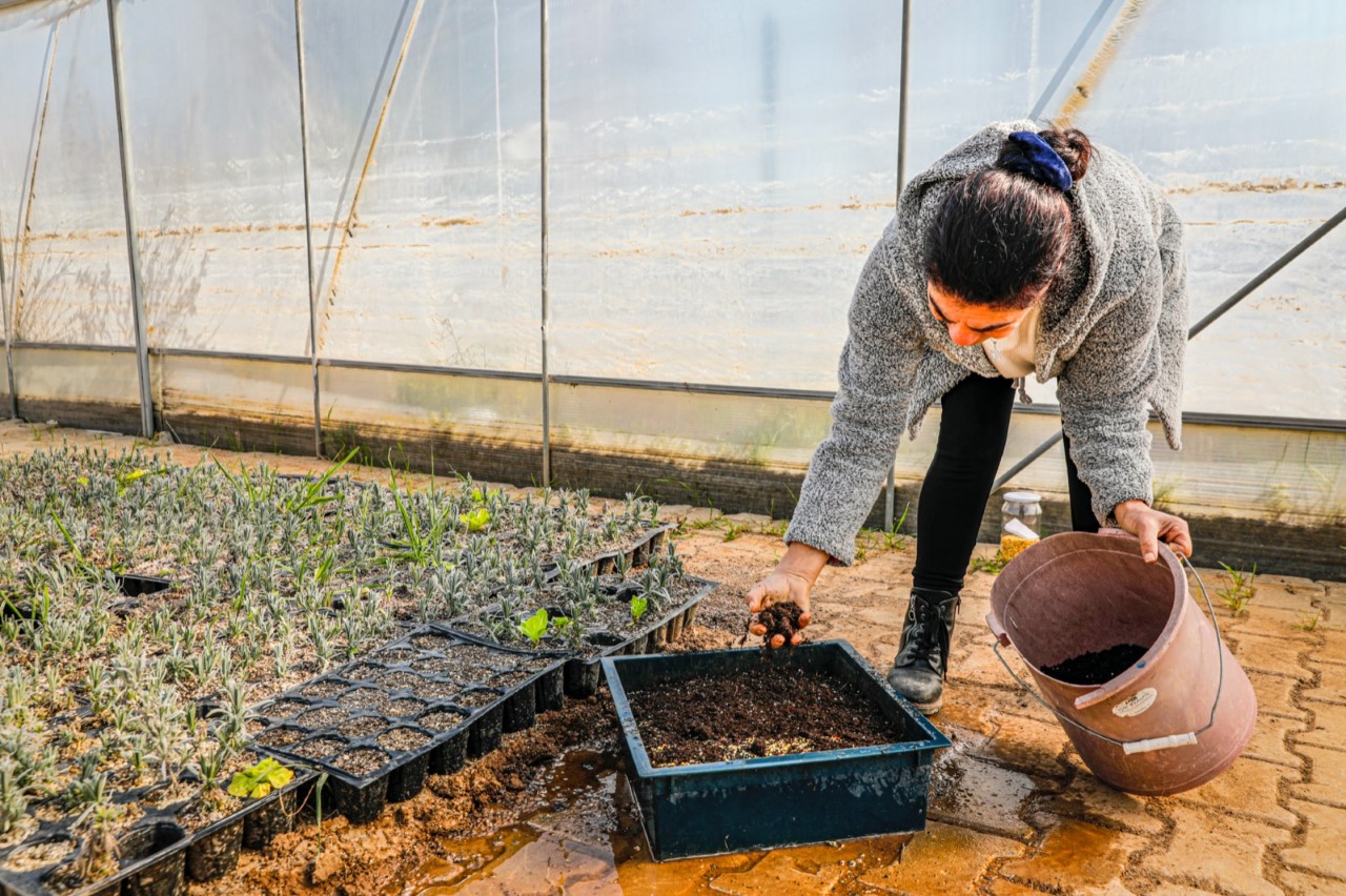 Başkan Yetişkin; “Tohumun değerini bir kez daha anladık”