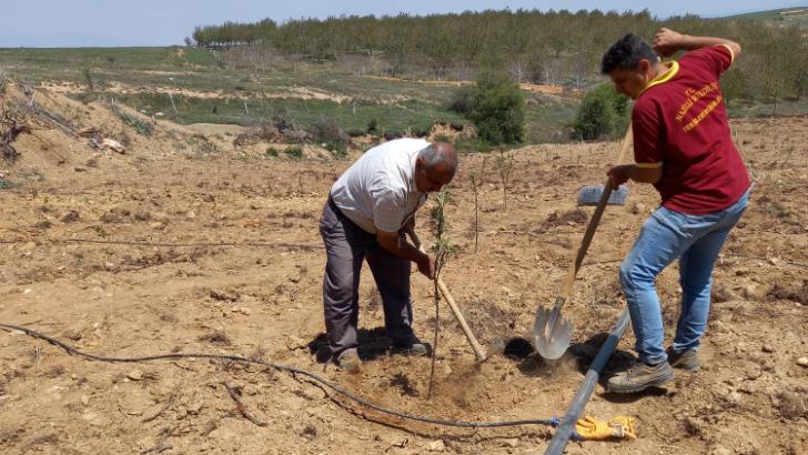 Pilot bölgede çalışmalar başladı