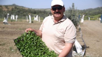 ‘ÇOCUKLARIMIZ SEBZELERİ MARKET RAFLARINDA YETİŞİYOR ZANNEDİYOR’