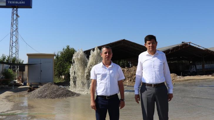 Nazilli Belediyesi salep ve kuşkonmaz yetiştirecek