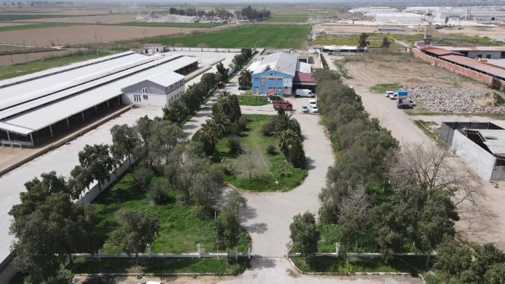 Nazilli’de kurban kesim fiyatları belirlendi