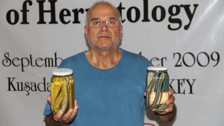 Prof. Dr. Olgun: Pandemi, yılan sayısını artırmış olabilir