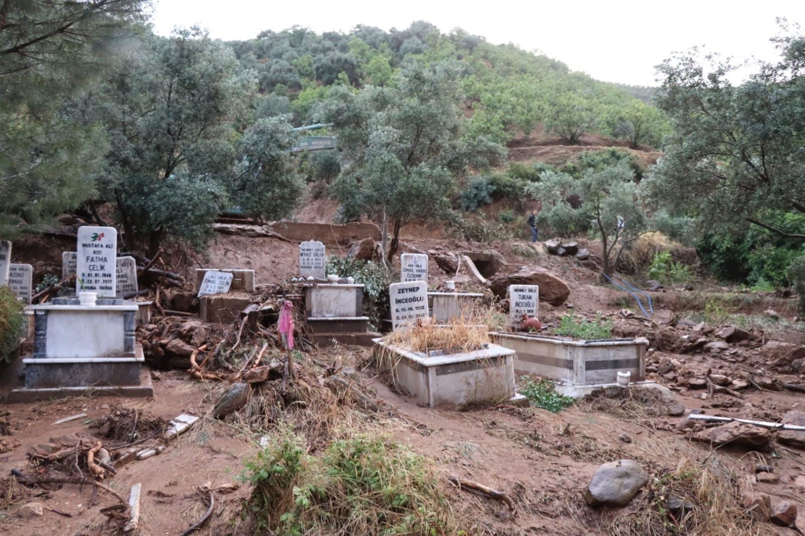 NAZİLLİ BELEDİYESİ’NDEN SELE EŞ ZAMANLI MÜDAHALE