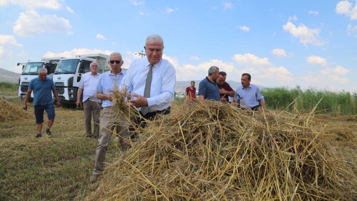 Başkan Atay’dan buğday hasadı