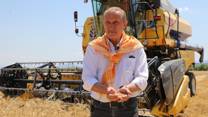 Başkan Atabay ilk buğday hasadını yaptı