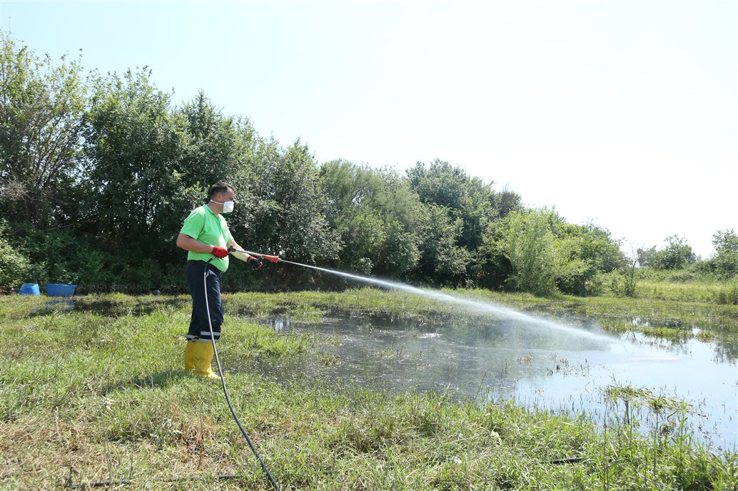 Efeler Belediyesi ilaçlama çalışmalarına hız verdi