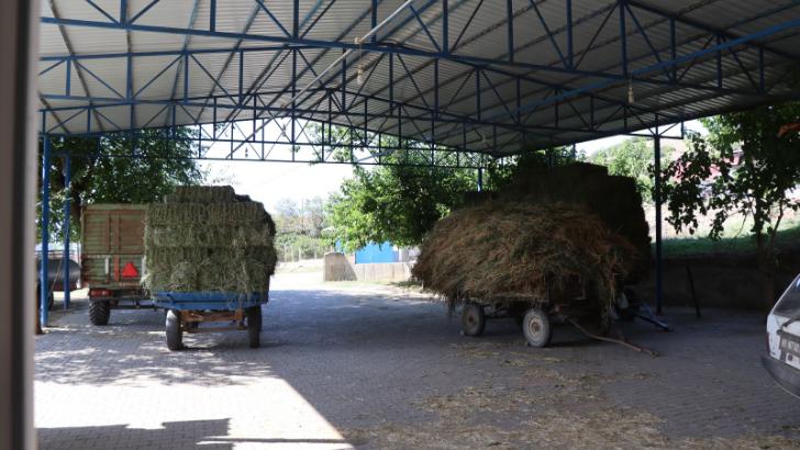 Nazilli Belediyesi Kırcaklı’da çalışmalara başladı