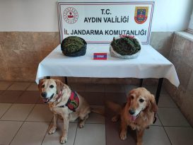 UYUŞTURUCU OPERASYONLARI DEVAM EDİYOR