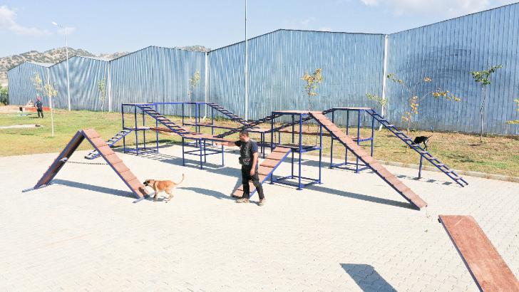 Aydın Büyükşehir Belediyesi’nin arama kurtarma köpeği Zeyna, göreve başladı