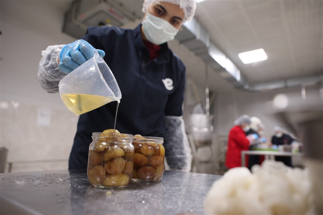 EFELER BELEDİYESİ KESTANE ŞEKERİ ÜRETİMİNE BAŞLADI