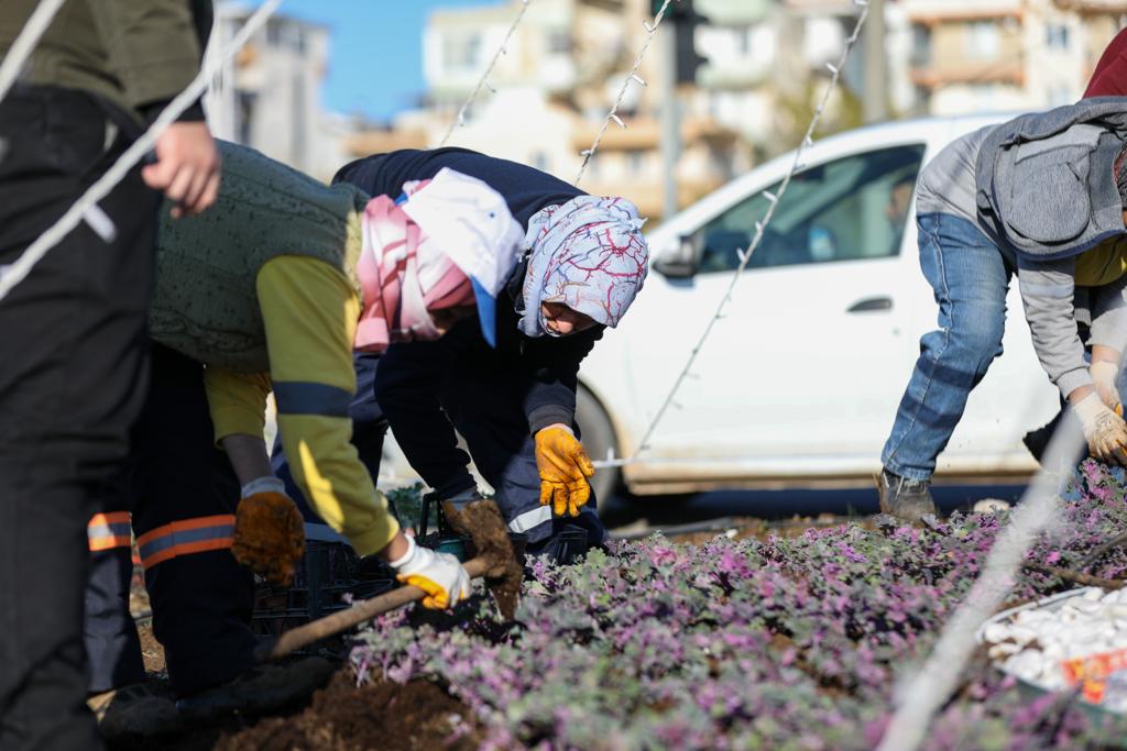 DİDİM RENGARENK ÇİÇEKLER İLE SÜSLENİYOR