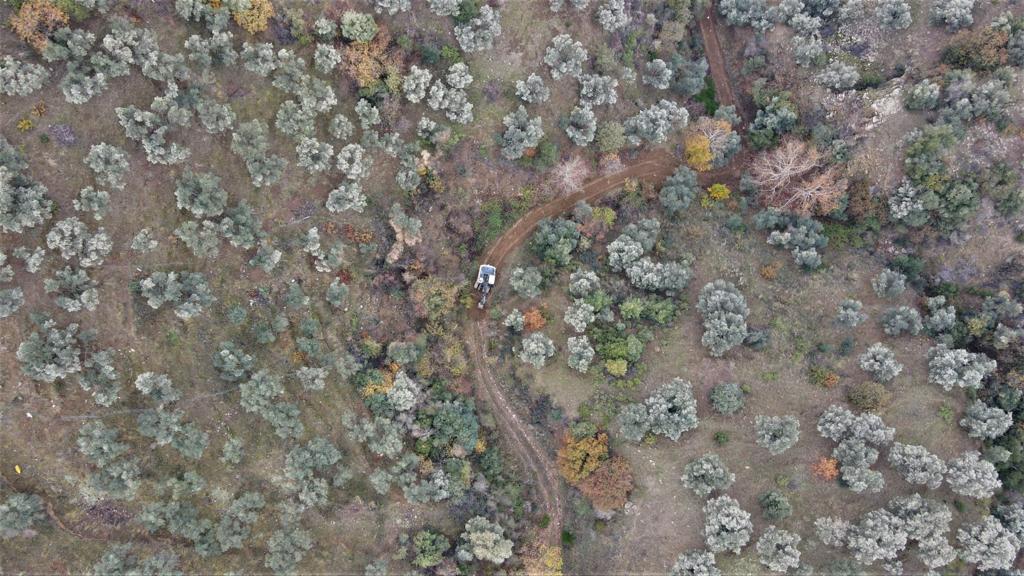 EFELER’İN EKİPLERİ KOZALAKLI ZEYTİNLİK YOLUNU AÇTI