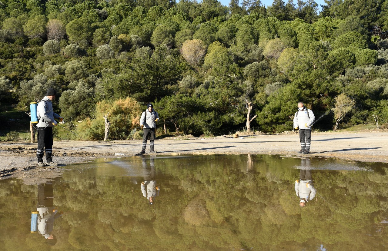 KUŞADASI BELEDİYESİ PARAZİTLERE KARŞI SAVAŞ AÇTI