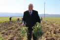 Başkan Atay Efeler’de Tarıma Değer Katıyor
