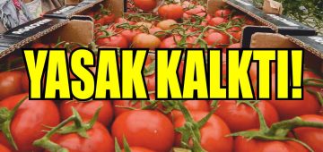 Taze domates ihracatındaki yasak kaldırıldı