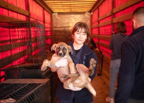 “YARALARI SEVGİYLE SARACAĞIZ”