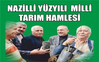 Nazilli Belediyesi’nden üreticilere 30 bin incir fidanı