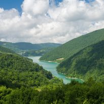 Sağlıklı Yaşam İçin Sağlıklı Ormanlar, Temiz Su