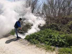 ÇİNE BELEDİYESİ ÇEVRE SAĞLIĞI İÇİN ARALIKSIZ ÇALIŞIYOR