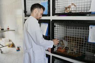 KUŞADASI’NDA PATİLİ DOSTLAR EMİN ELLERDE