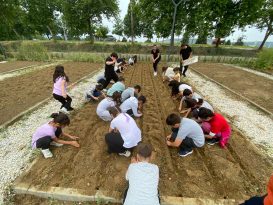 EFES SELÇUKLU ÇOCUKLAR FİDELERİ TOPRAKLA BULUŞTURUYOR