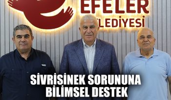 Efeler’de sivrisinek sorununa bilimsel destek