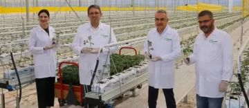 Aydın’ın jeotermali artık tarımsal üretimde de kullanılacak