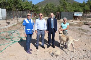 Egeli ihracatçılardan barınak hayvanlarına mama yardımı