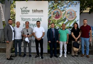 KUŞADASI’NIN DELİCE ZEYTİN AĞAÇLARI EKONOMİYE KAZANDIRILIYOR