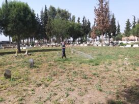 EFELER’İN EKİPLERİNDEN MEZARLIKLARDA KAPSAMLI ÇALIŞMA